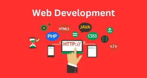 Web Development in Lahore